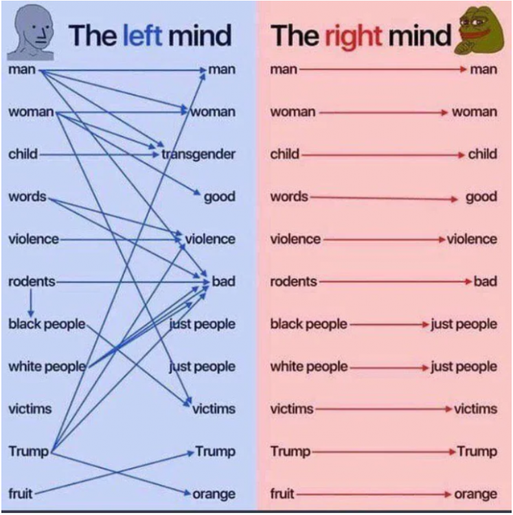 left vs right.png